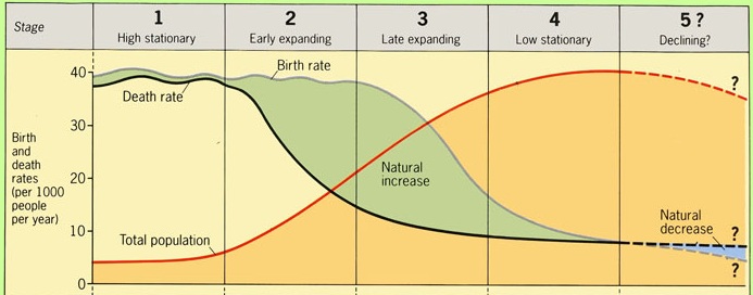 does manual labor increase testosterone