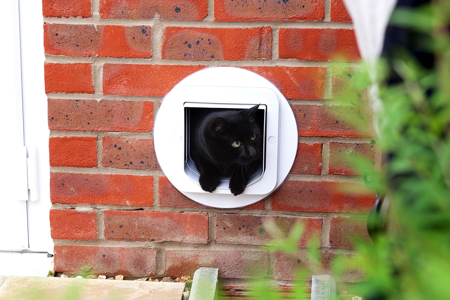 sureflap microchip cat flap instruction manual