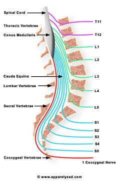 can i do manual labour with anklosing spondylitis