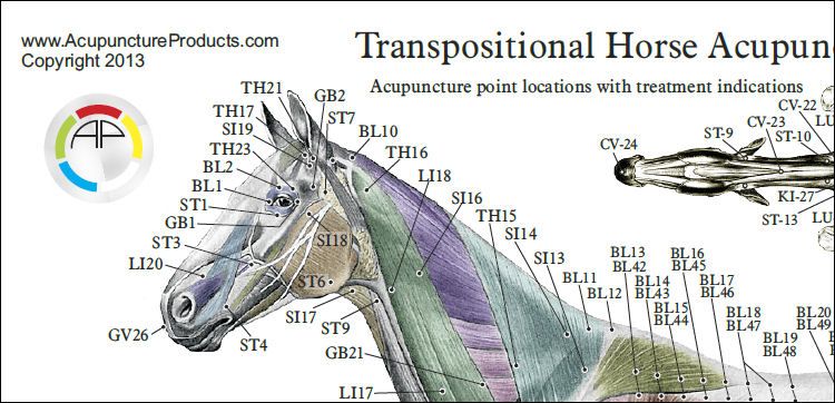 https www.physio-pedia.com manual_therapy_techniques_for_the_lumbar_spine