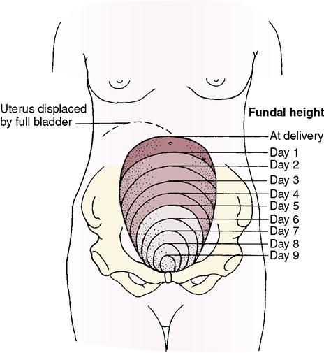 manual reposition prolapse after pregnancy