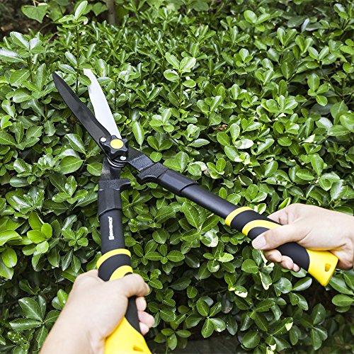 best manual hedge shears 2017