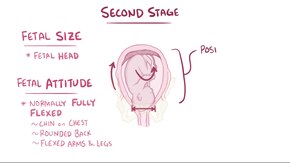 manual reposition prolapse after pregnancy