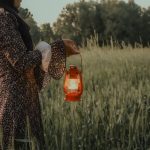 pexels-photo-34987930