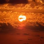 pexels-photo-13904810