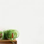 pexels-photo-7896411